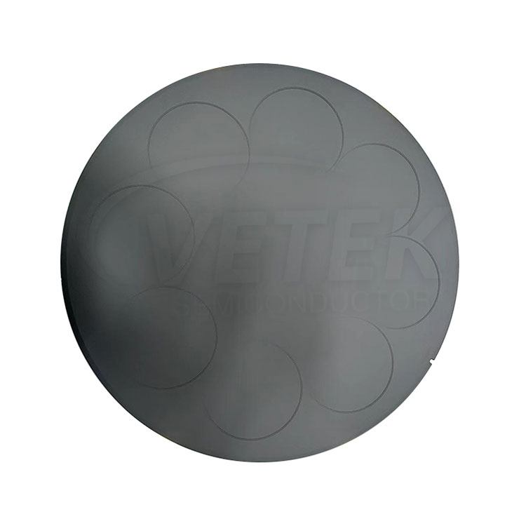 SIC powlekane podatnik na naleśniki dla LPE PE3061S 6 '' WAFERS